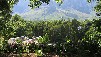 Golfreis, Molenvliet Guest & Wine Estate, Zuid-Afrika