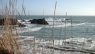 individuele Golfreis, Cottages de la Bretesche, Bretagne, Frankrijk 