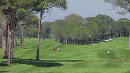 Perfektes Golfvergnügen – gleich im Dutzend Perfektes Golfvergnügen – gleich im Dutzend