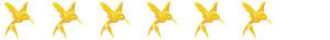 ars vivendi Wertung 6 Kolibris