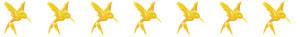 ars vivendi Wertung 7 Kolibris